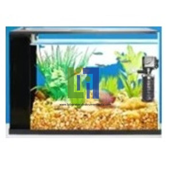 Aquarium with Filter and Air Pump