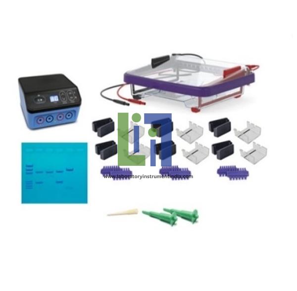 Classroom DNA Electrophoresis Lab Station