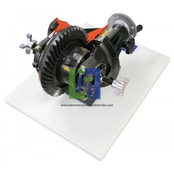 Cutaway Differential With Adjustment Capabilities