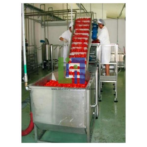 Fruit Processing