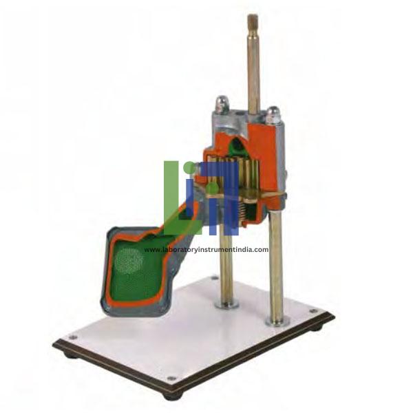 Gear Pump Cutaway