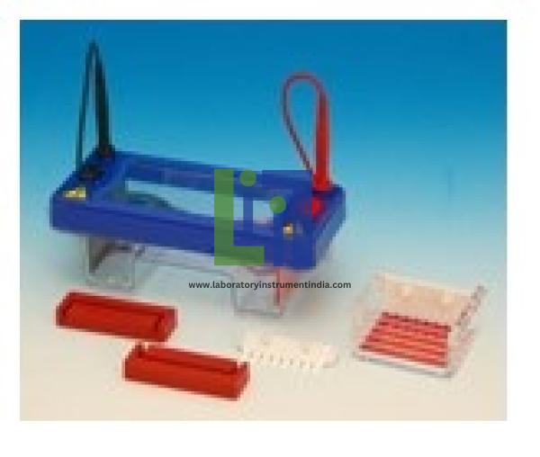Gel Electrophoresis Kit