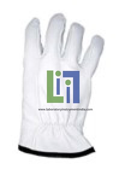 Leather Protectors Glove
