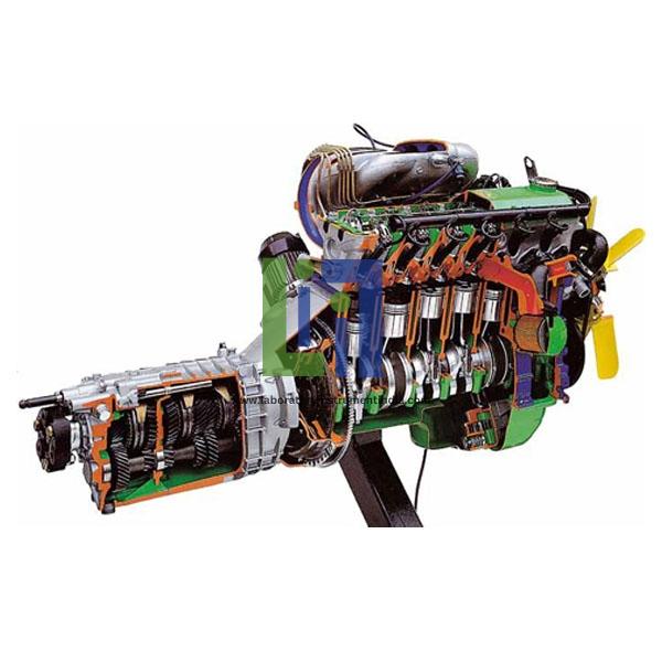 Multipoint Electronic Fuel Injection DOHC Petrol Engine Gearbox Cutaway
