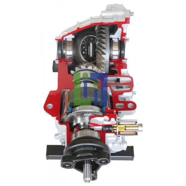 Rear Axle Differential