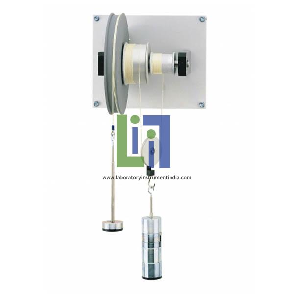 Wheel And Differential Axle Unit